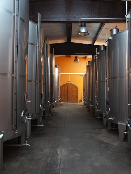A row of stainless steel fermentation tanks in a brewery with a wooden door at the end. 5