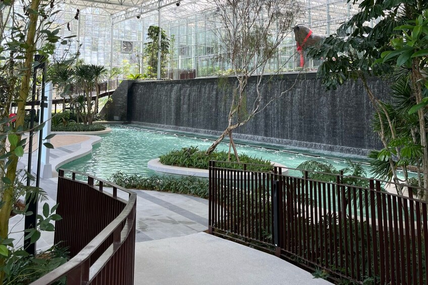An indoor water feature with a waterfall, surrounded by tropical plants and a glass-enclosed structure. 5