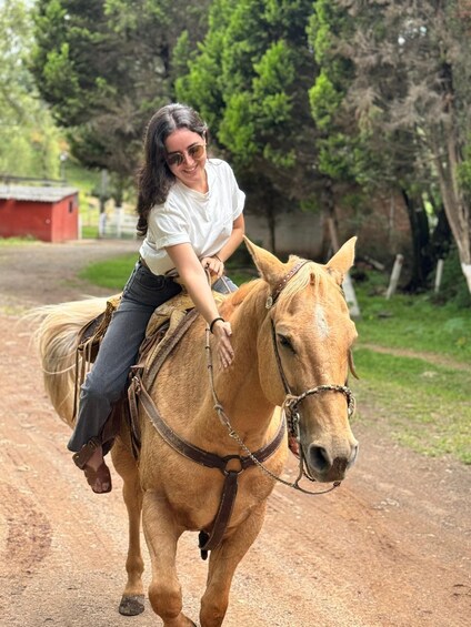 A person riding a horse on a dirt path with trees and a red building in the background. 1