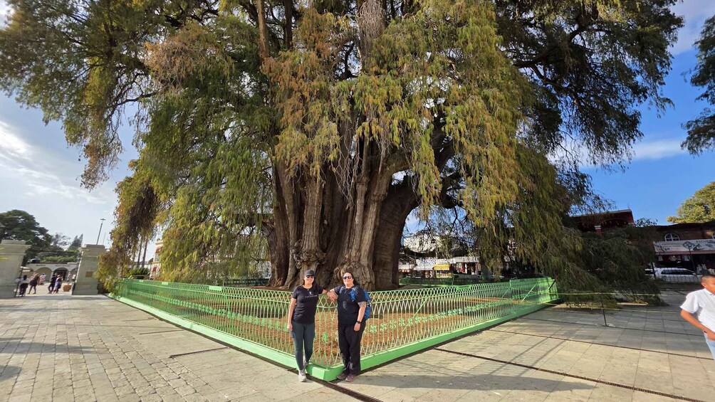 Picture 5 for Activity Mezcal and Traditions Route: Tree of Tule, Teotitlan Village, and Distillery 2