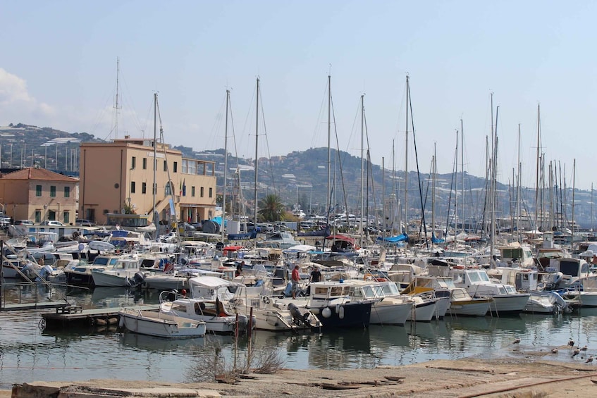 A marina filled with numerous sailboats docked in calm waters, surrounded by buildings and hills in the background. 3