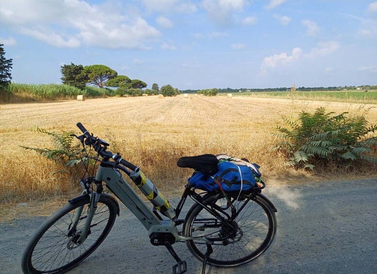 A bicycle with a blue bag on the back parked on a dirt path beside a field. 1