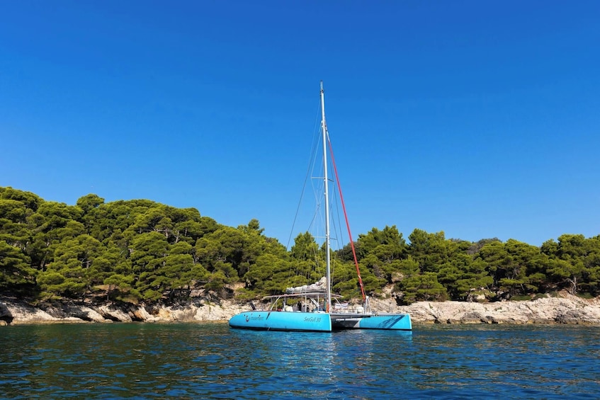 A sailboat named 'Seagull 30' anchored near a rocky coastline with dense green trees. 1
