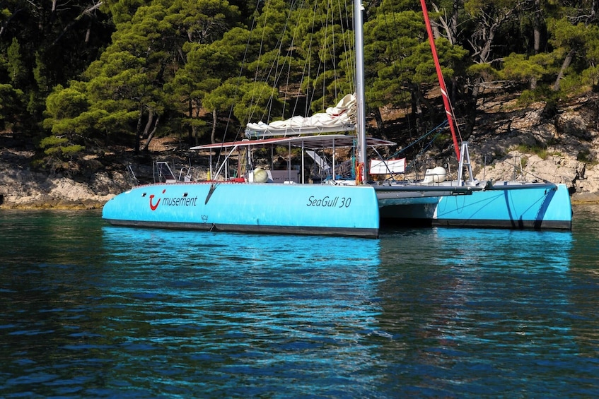 A blue catamaran named 'Seagull 30' docked near a rocky shoreline with pine trees in the background. 5