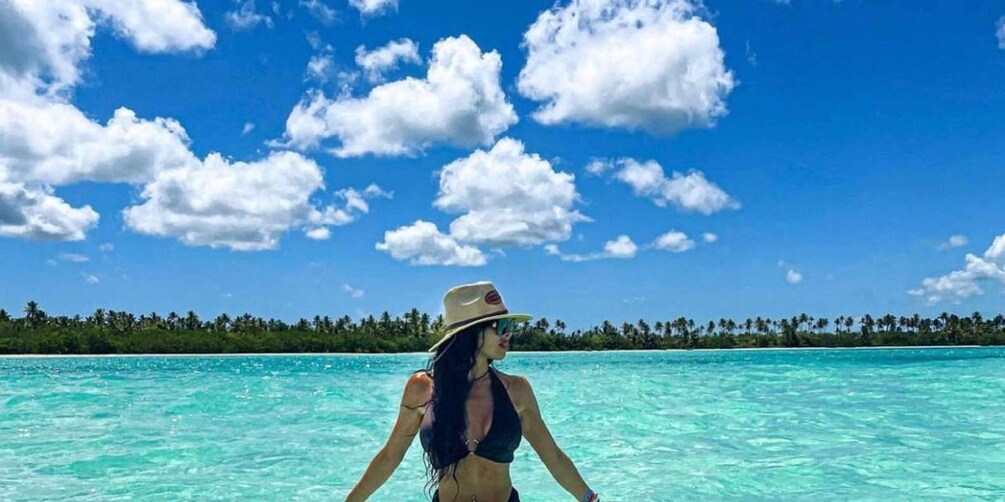 A woman in a bikini and hat standing in clear turquoise water with a tropical island and palm trees in the background. 1