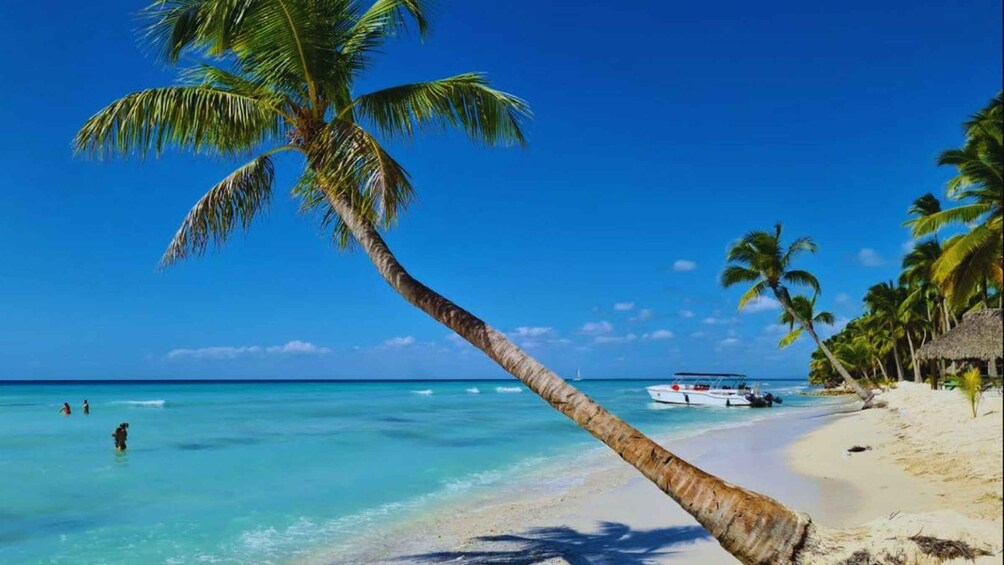 A beach with clear turquoise water, a leaning palm tree, and a boat on the shore. 3