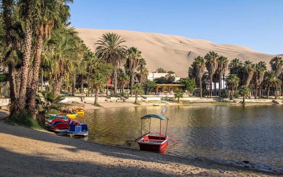 A calm lake with boats, palm trees, and a desert in the background. 3