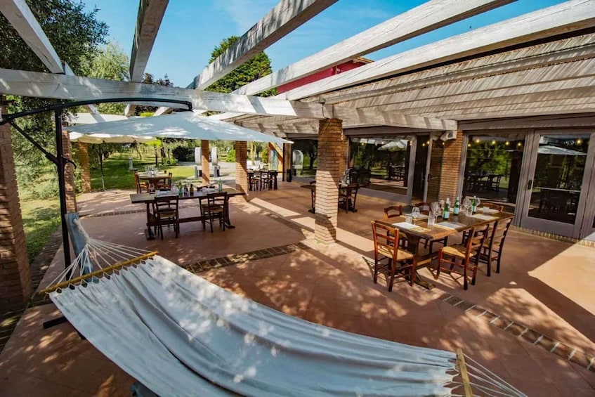 An outdoor patio with tables and chairs, a hammock, and a covered area with umbrellas. 3
