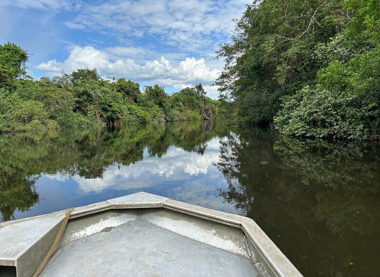 A calm river with dense greenery on both sides, a clear sky, and a boat in the foreground. 4