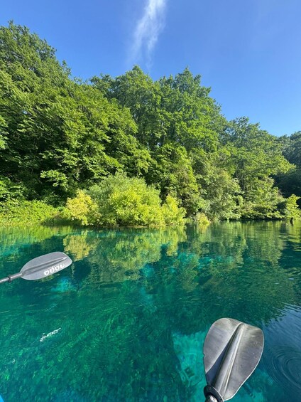 A clear river with paddleboards, surrounded by dense green foliage. 4