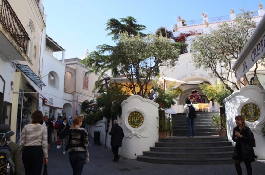 A pedestrian street with steps leading to a building entrance, surrounded by trees and buildings. 5