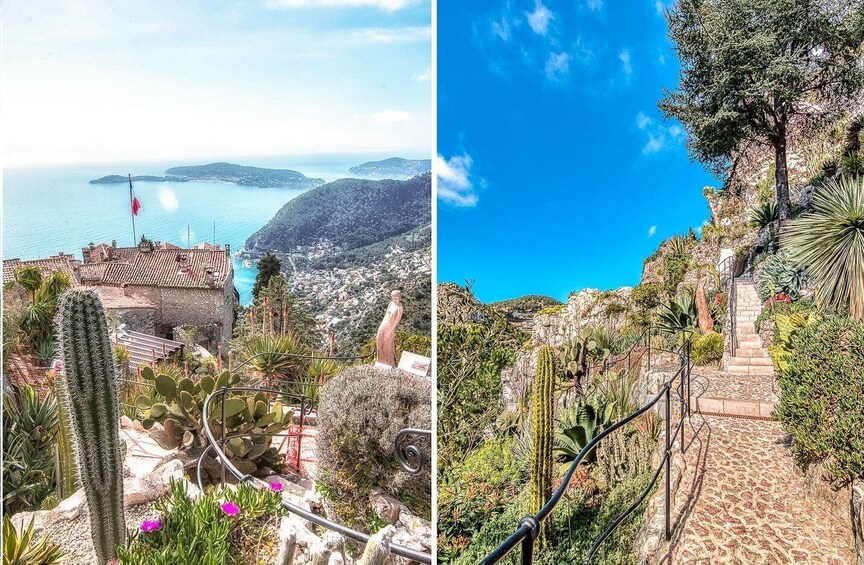Picture 3 for Activity Nice: Eze and Grande Corniche Nature Park Private Tour 1