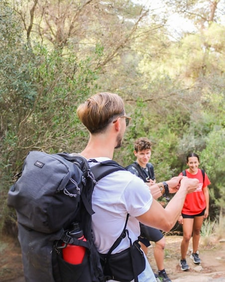 A person with a backpack walking on a forest trail. 4