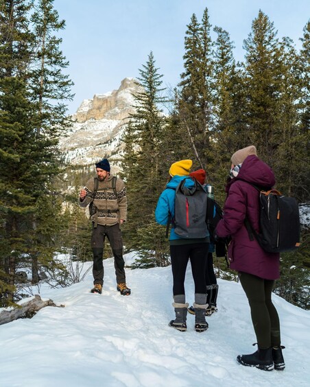 A group of hikers on a snowy trail with a mountain in the background. 3