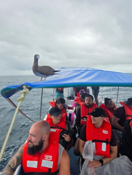 A group of people on a boat wearing life jackets, with a bird perched on the boat's canopy. 5
