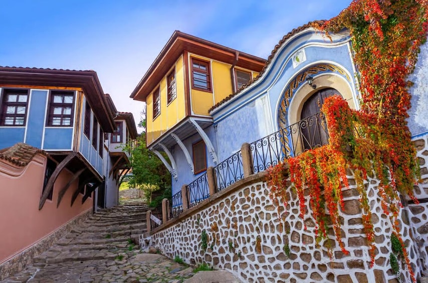 A colorful street with stone walls and buildings adorned with flowering vines. 1