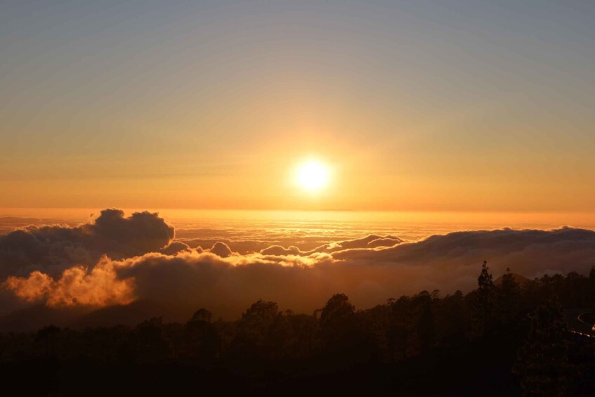 Picture 50 for Activity Puerto de la Cruz: Buggy Teide Sunset National Park 5