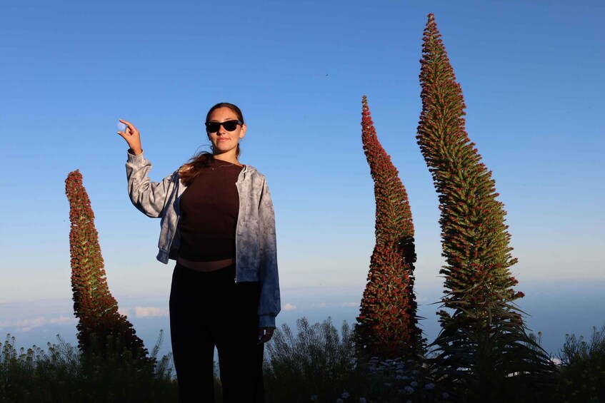 Picture 62 for Activity Puerto de la Cruz: Buggy Teide Sunset National Park 2