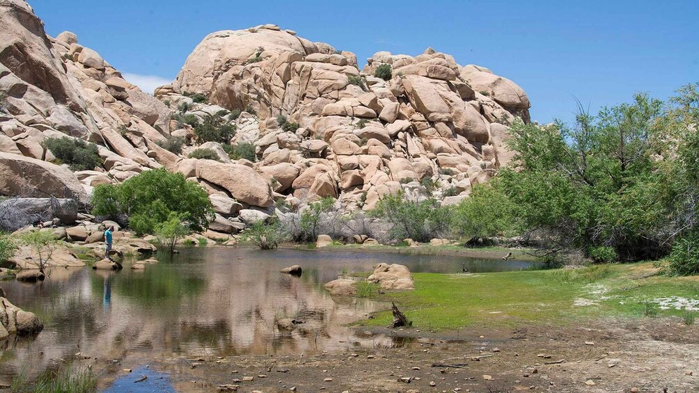 A rocky landscape with a small pond surrounded by greenery and a person standing by the water. 5