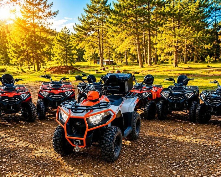 A row of ATVs parked on a dirt path in a forest. 4