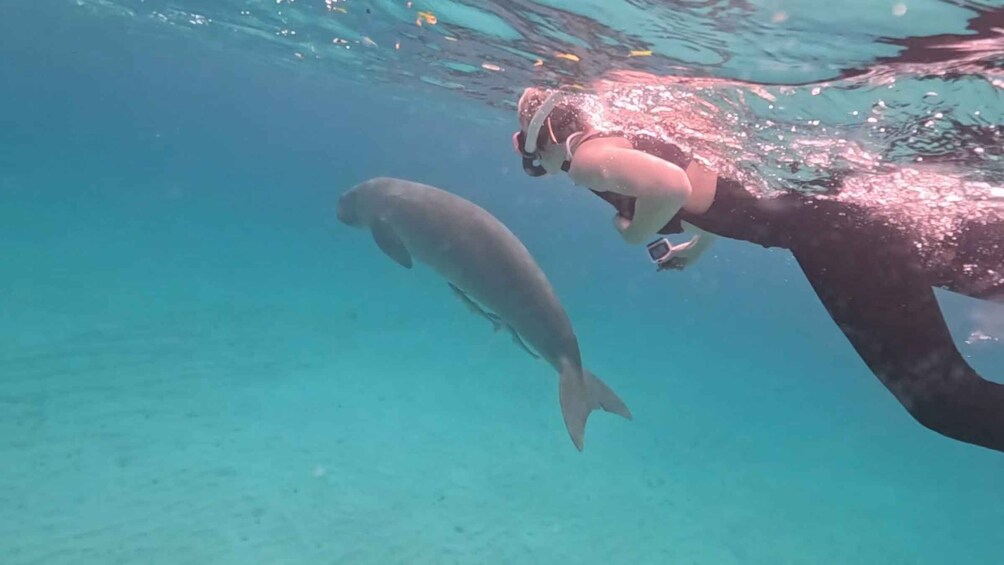 A person scuba diving with a fish nearby. 4