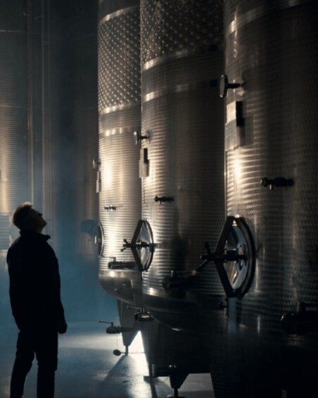 A person standing in front of large industrial tanks with reflective surfaces and valves. 1