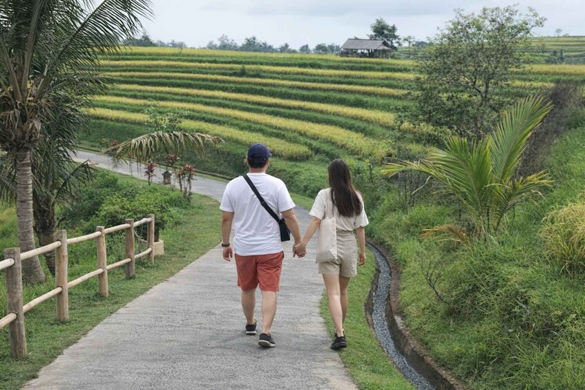 A couple walking on a path through terraced rice fields. 1