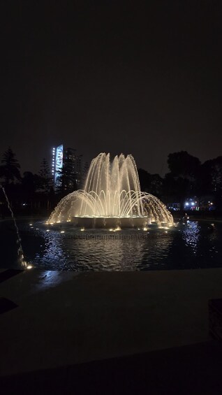 Picture 9 for Activity Sightseeing tour: Food at a local market and water park in Lima 3
