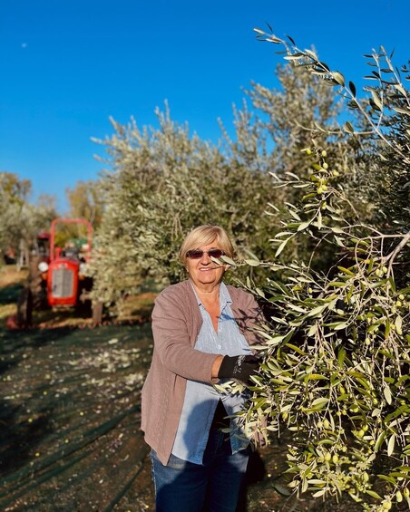 A person standing in an olive grove with a red tractor in the background. 3