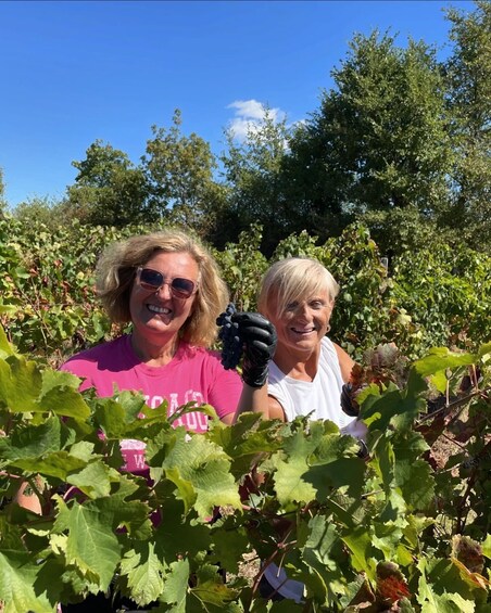 Two people in a vineyard with grapevines and trees in the background. 5