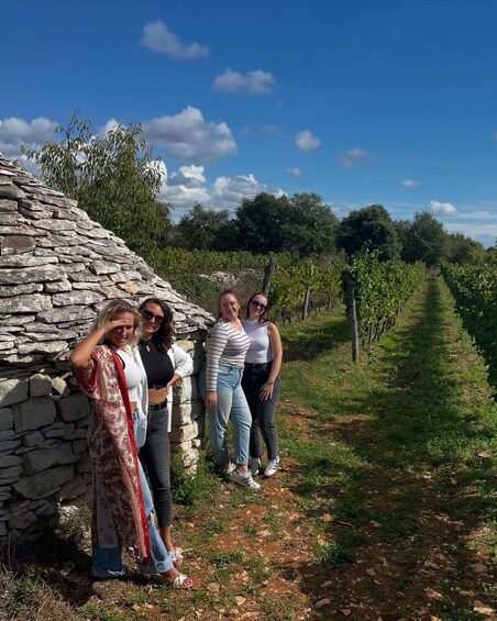 A group of people standing by a stone wall in a vineyard. 2