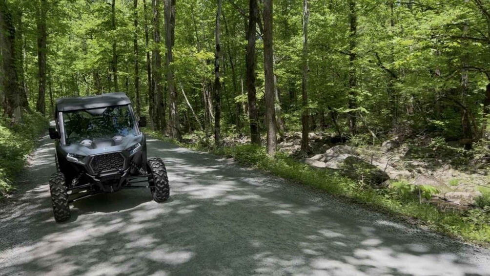 A black off-road vehicle on a forested path. 5