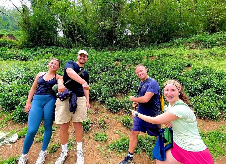 A group of people standing in a lush green tea plantation. 3