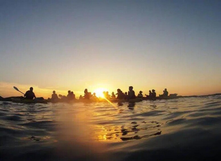 A group of people kayaking in a calm sea during sunset. 3