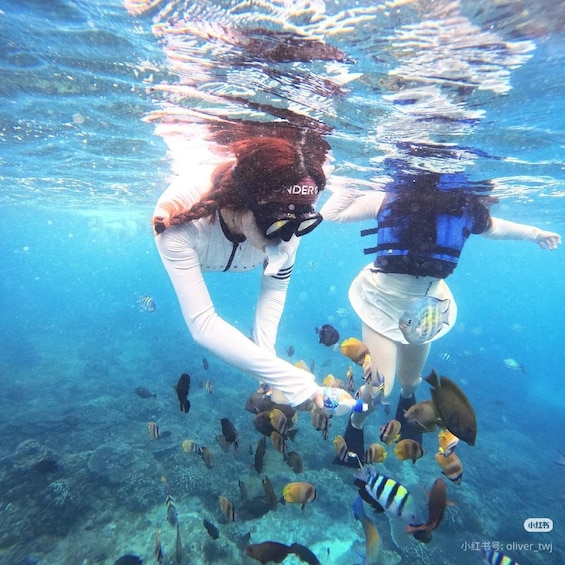 Two people scuba diving underwater with a school of fish around them. 5