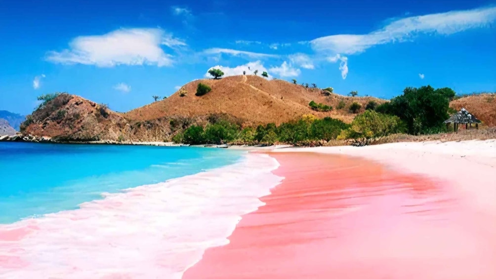 A beach with pink sand and clear blue water, surrounded by hills and sparse vegetation. 1