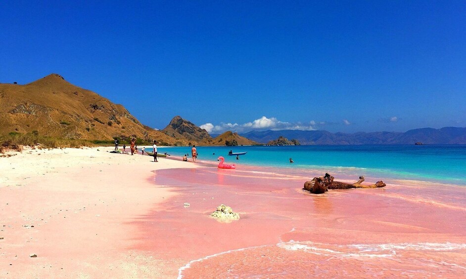 A beach with pink sand, clear blue water, and distant mountains. 4