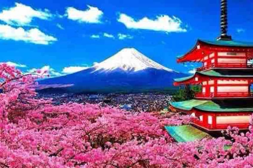 From Tokyo: Mount Fuji Private Tour with English Guide 1