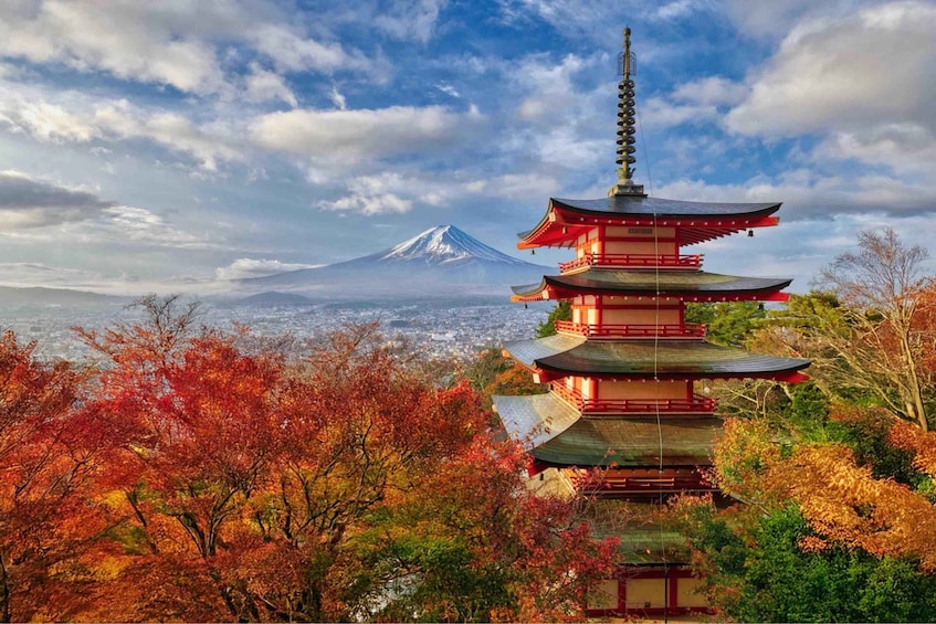 From Tokyo: Mount Fuji Private Day Tour with English Driver 1