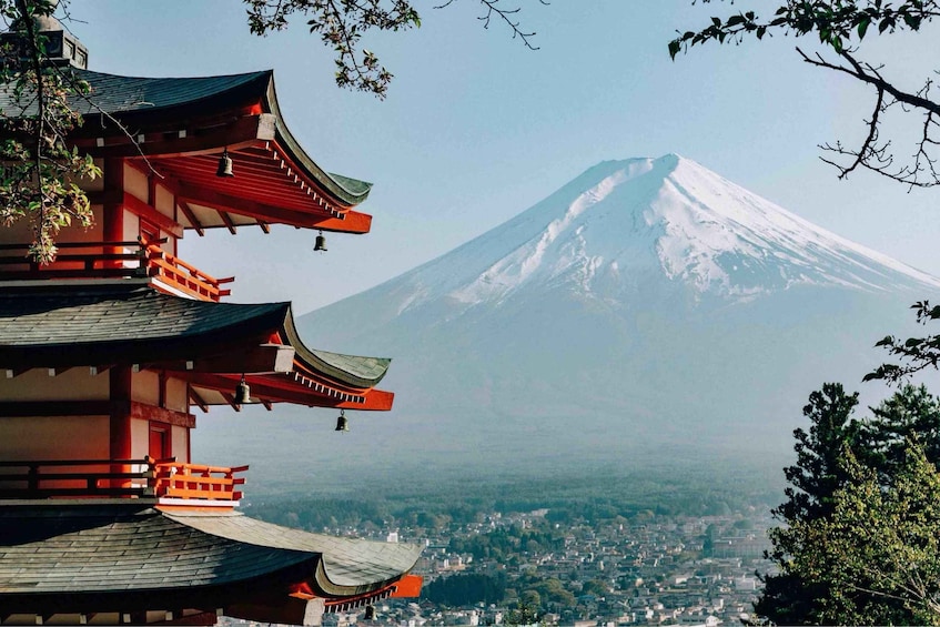 Picture 3 for Activity From Tokyo: Mount Fuji Private Tour with English Guide 3