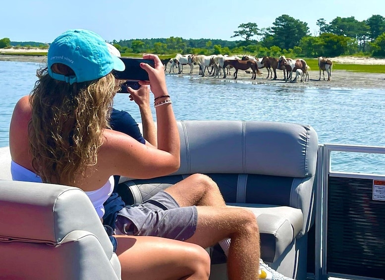 A person on a boat taking a photo of horses by the water. 1