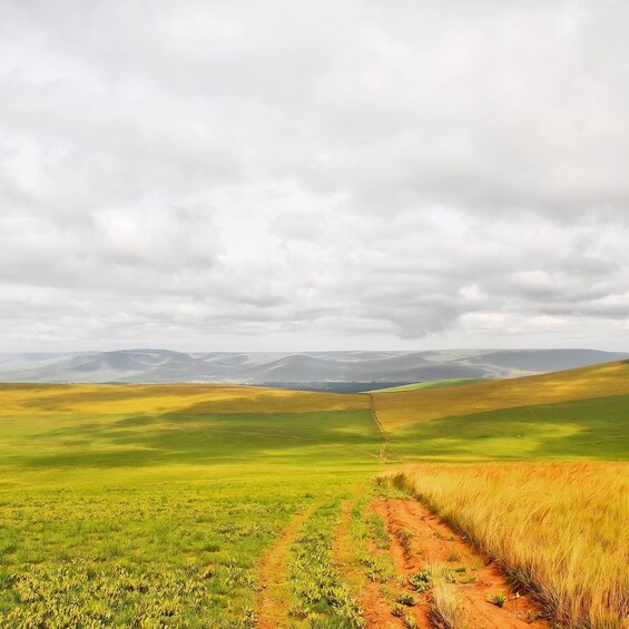 A rural landscape with rolling hills, a dirt path, and a cloudy sky. 5