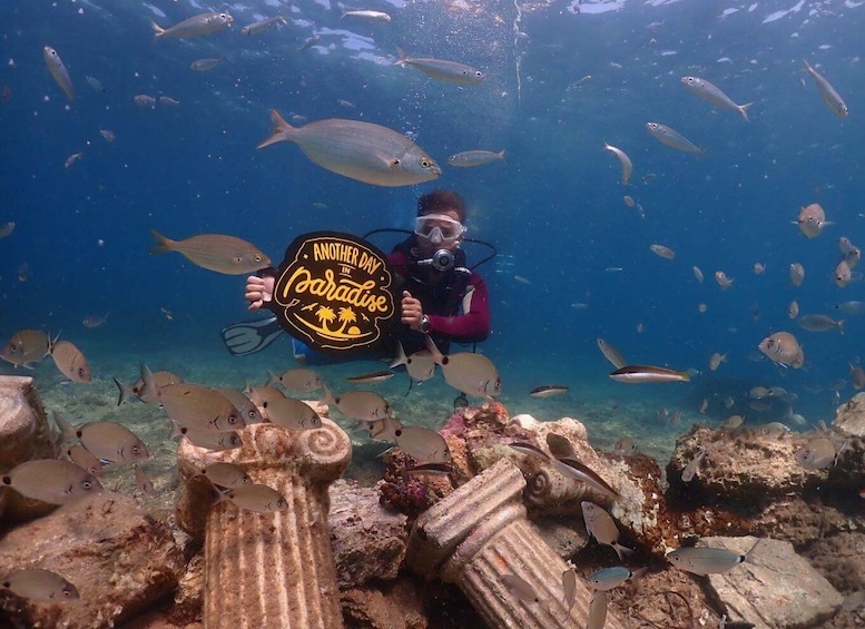 A diver holding a sign underwater surrounded by fish. 4