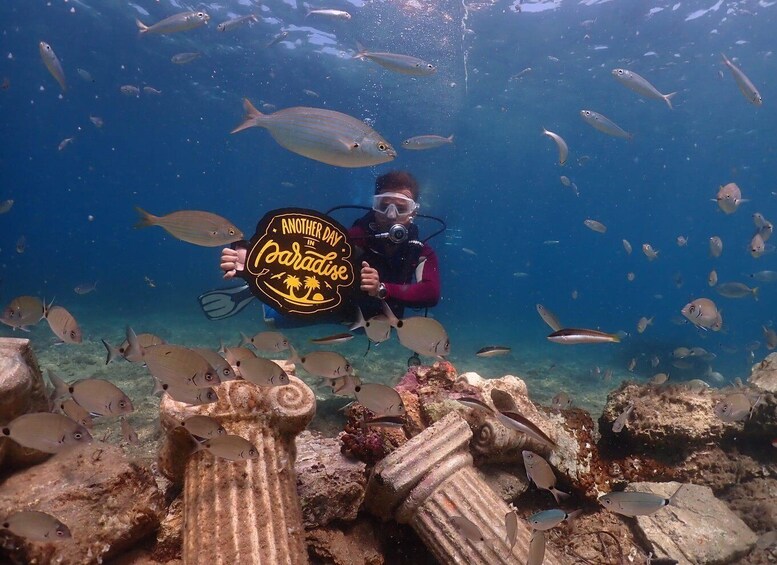 A diver holding a sign underwater surrounded by fish and coral. 1