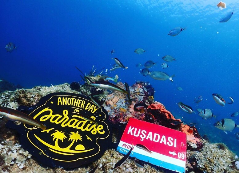 A sign with 'Another Day in Paradise' and a directional sign pointing to 'Kusadasi.' 5