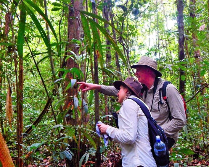 Two people in a forested area, one pointing at something in the foliage. 5