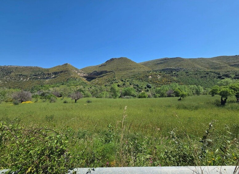Picture 19 for Activity Noto & Canyons: E-Mountain Bike Tour with Nature Guide 4