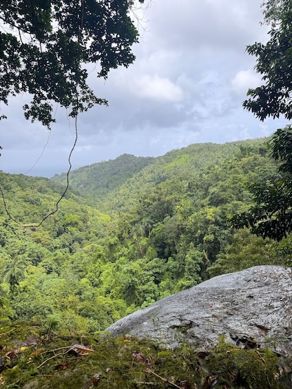 Picture 1 for Activity Port Antonio: Nonsuch Falls Tour and Boston Jerk Experience 2
