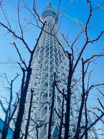 A tall, modern tower with a glass facade and a metallic framework, surrounded by bare trees against a clear blue sky. 2