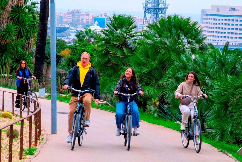 Four people riding bicycles on a paved path surrounded by greenery and palm trees. 1